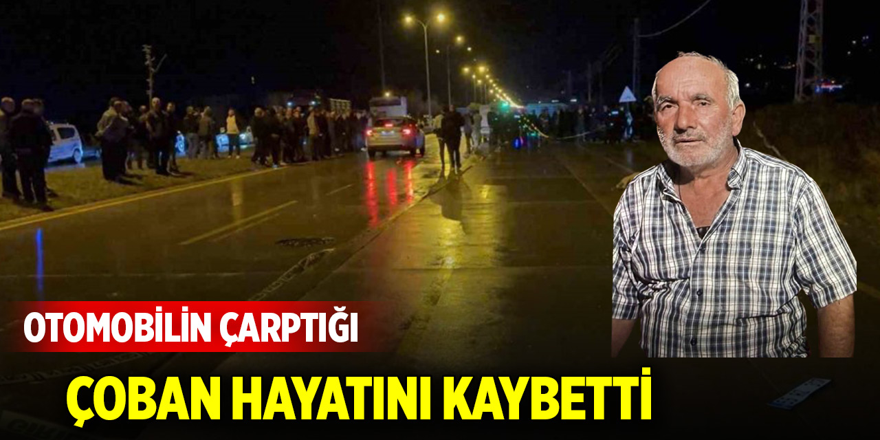 Otomobilin çarptığı çoban hayatını kaybetti