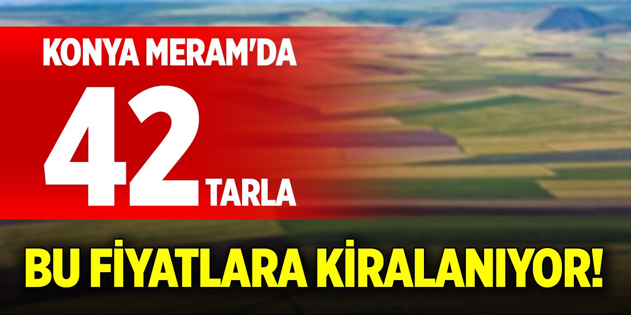 Konya Meram'da 42 tarla bu fiyatlara kiralanıyor!