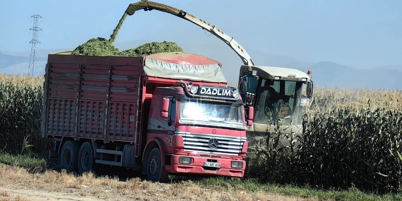 Konya'da mısır hasadı başladı