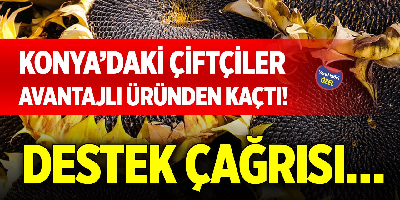 Konya’daki çiftçiler avantajlı üründen kaçtı! Destek çağrısı…