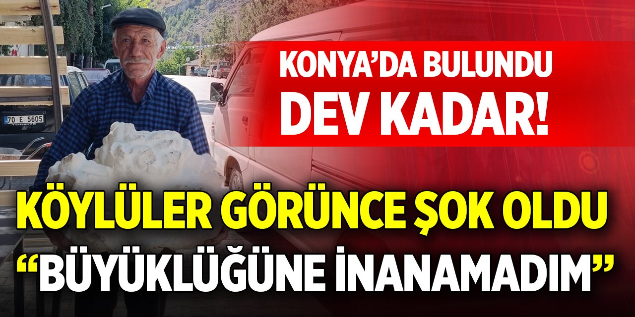 Konya’da bulundu, dev kadar! Köylüler görünce şok oldu: "Büyüklüğüne inanamadım"