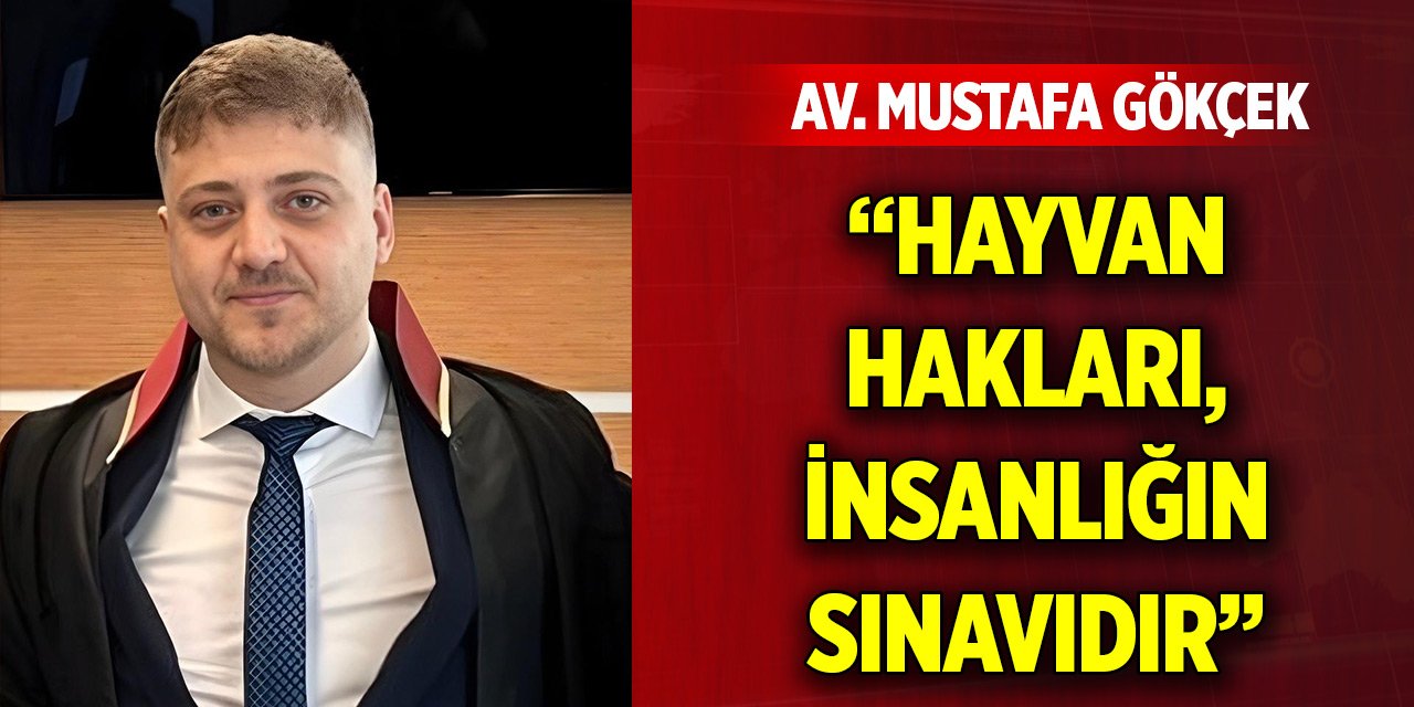 Av. Mustafa Gökçek: “Hayvan hakları, insanlığın sınavıdır”
