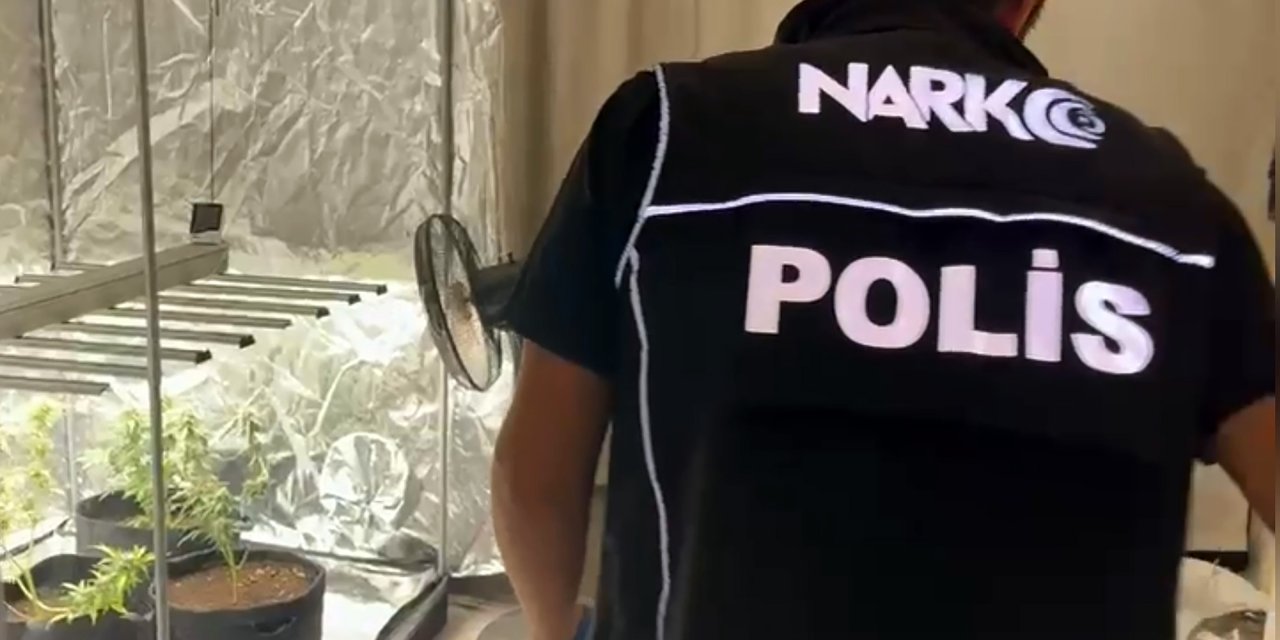 Yatak odasında kenevir!