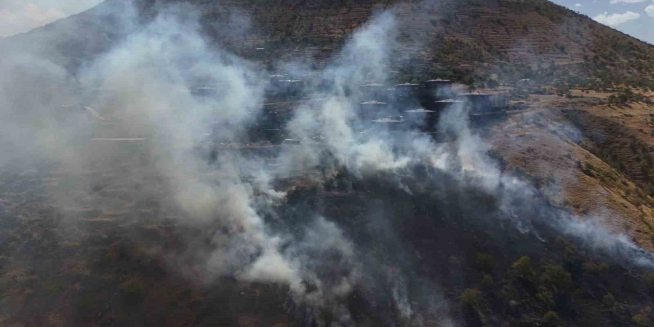 Patlıcan közlerken ormanı yaktılar
