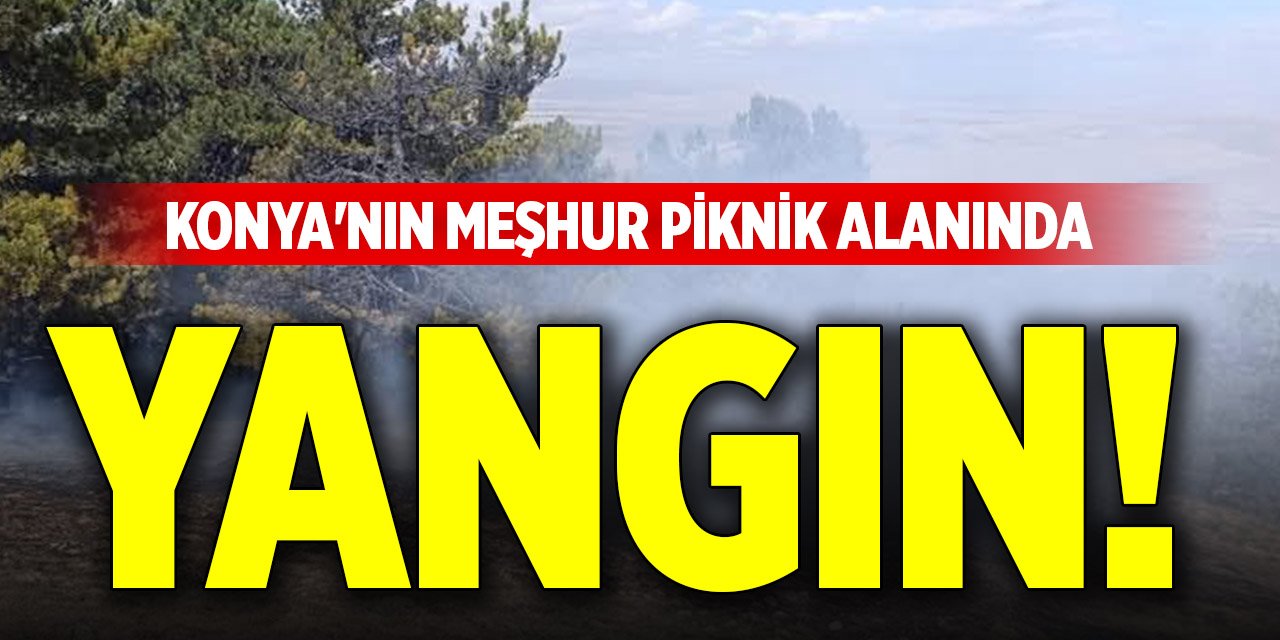 Konya'nın meşhur piknik alanında yangın!