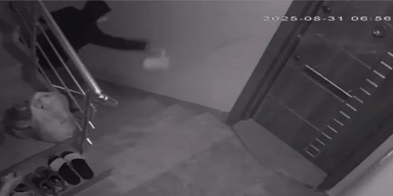 Komşularını canından bezdirdi