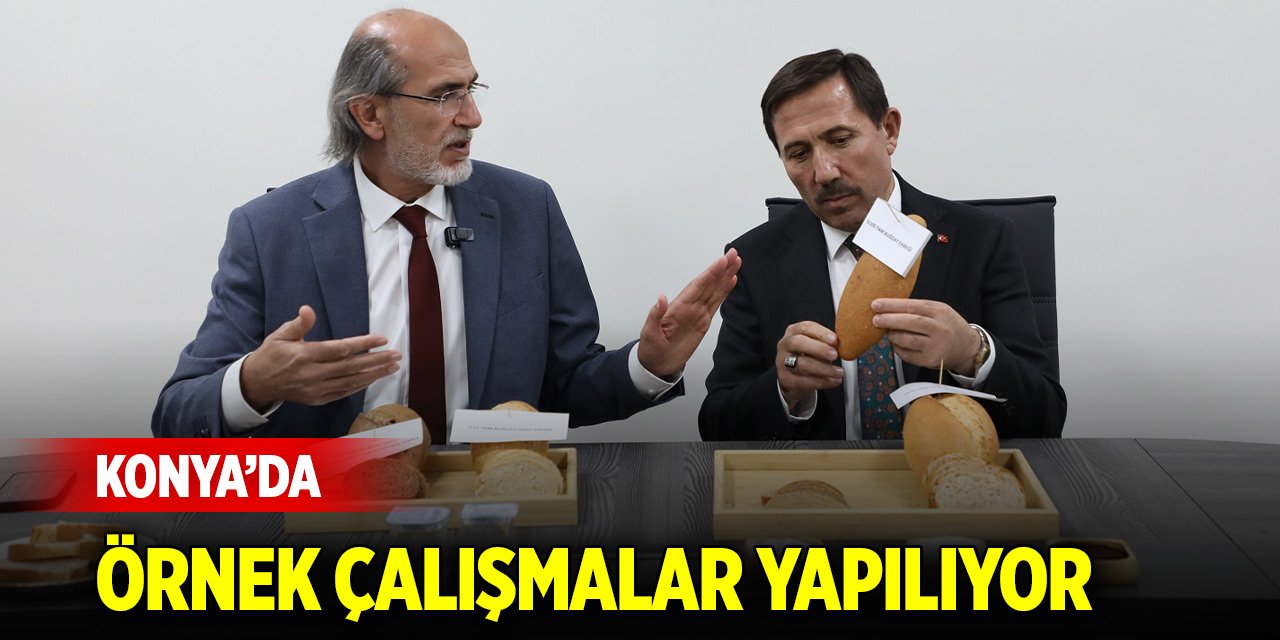 Konya’da örnek çalışmalar yapılıyor