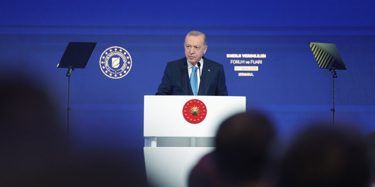 Erdoğan: Yeşil enerjiye yatırım yapan ülkelerin başında geliyoruz