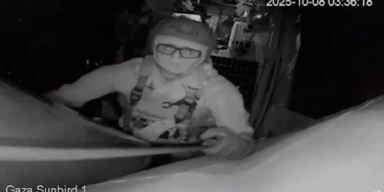 İsrail, Özgürlük Filosu'na müdahale etti