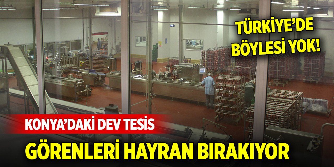 Türkiye’de böylesi yok! Konya’daki dev tesis görenleri hayran bırakıyor