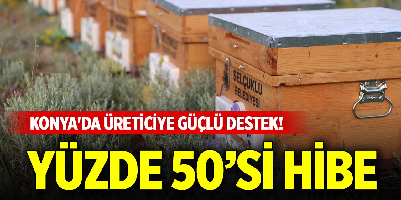 Konya'da üreticiye güçlü destek! Yüzde 50 hibeli arı kovanı desteği
