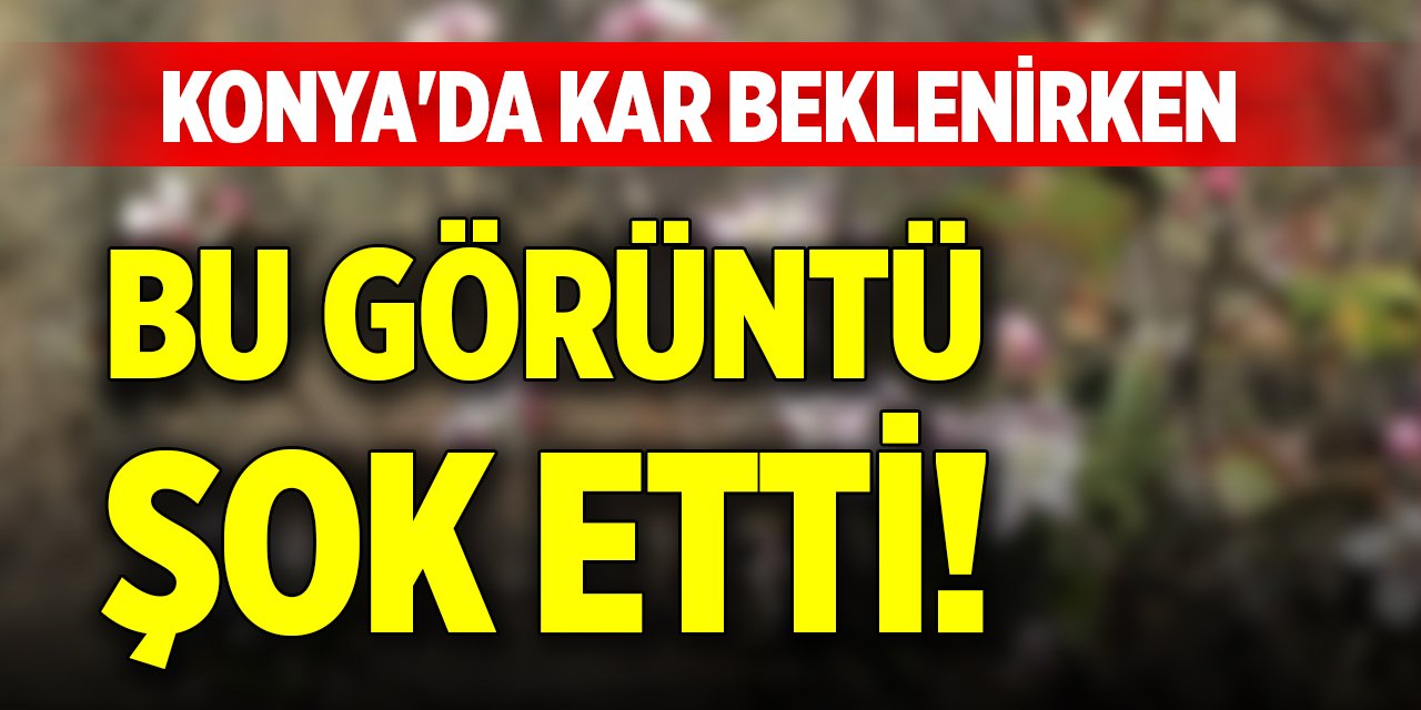 Konya'da kar beklenirken bu görüntü şok etti!