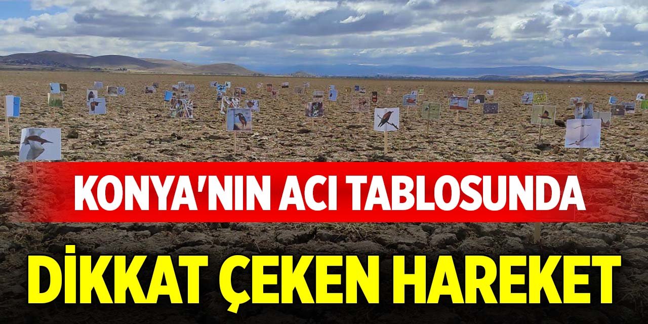 Konya'nın acı tablosunda dikkat çeken hareket
