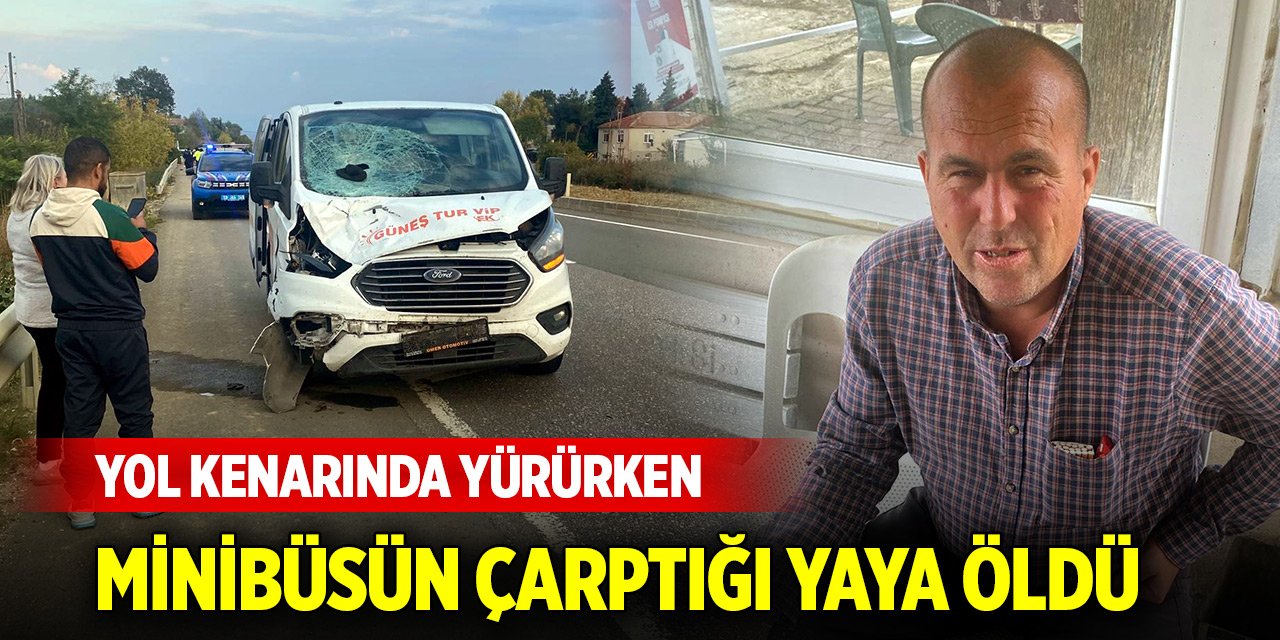 Yol kenarında yürürken minibüsün çarptığı yaya öldü