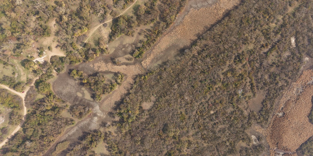 Türkiye’nin 3’üncü büyük longozu da kurudu