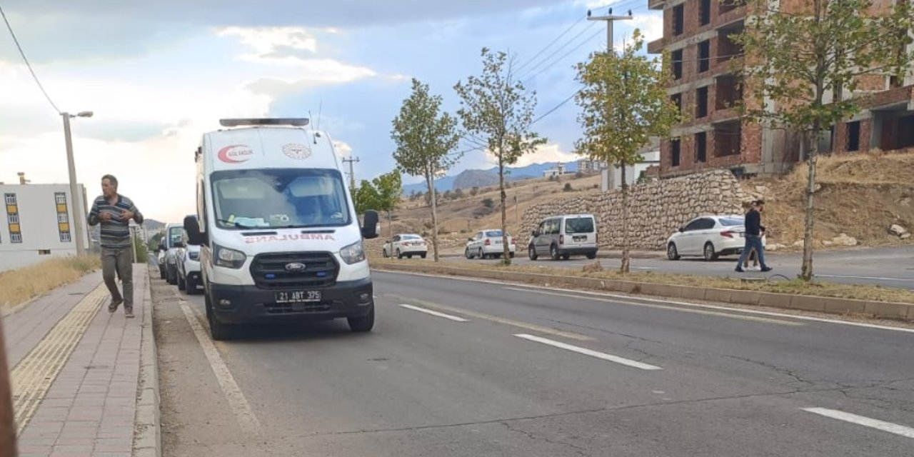 Dere kenarındaki ağaçlık alanda erkek cesedi bulundu