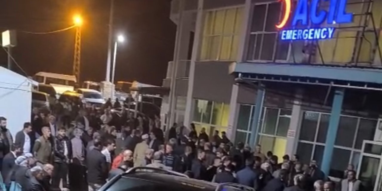 Ağaçtan düşen şahıs hayatını kaybetti