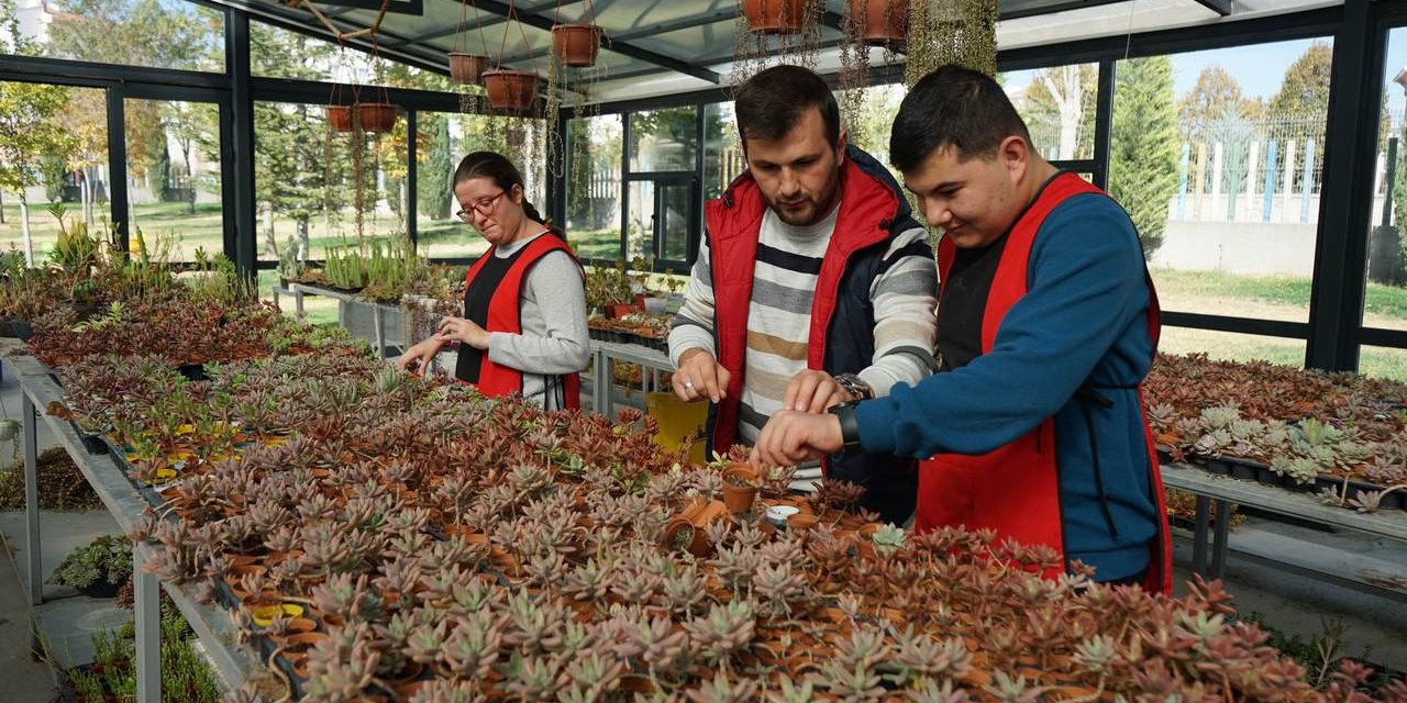 Otizmli öğrencilerden sevgiyle yetişen sukulentler