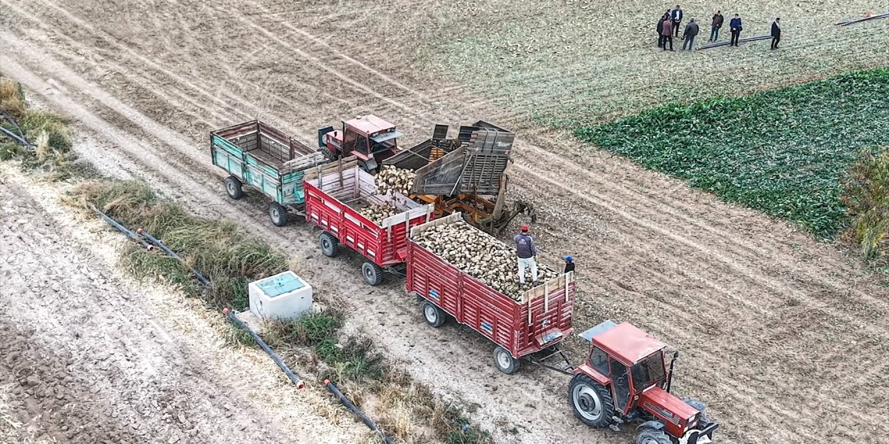 Çumra'da hasat zamanı
