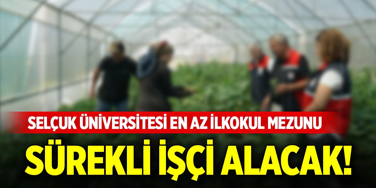Selçuk Üniversitesi en az ilkokul mezunu sürekli işçi alacak!