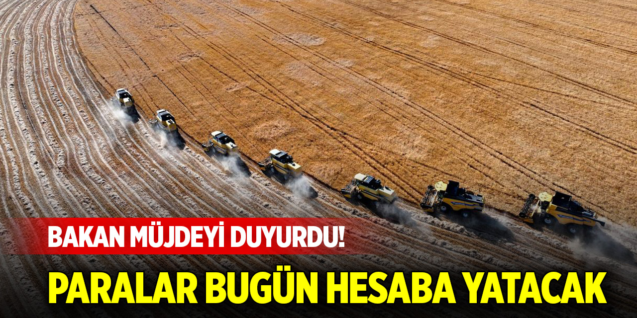 Bakan müjdeyi duyurdu! Paralar bugün hesaba yatacak