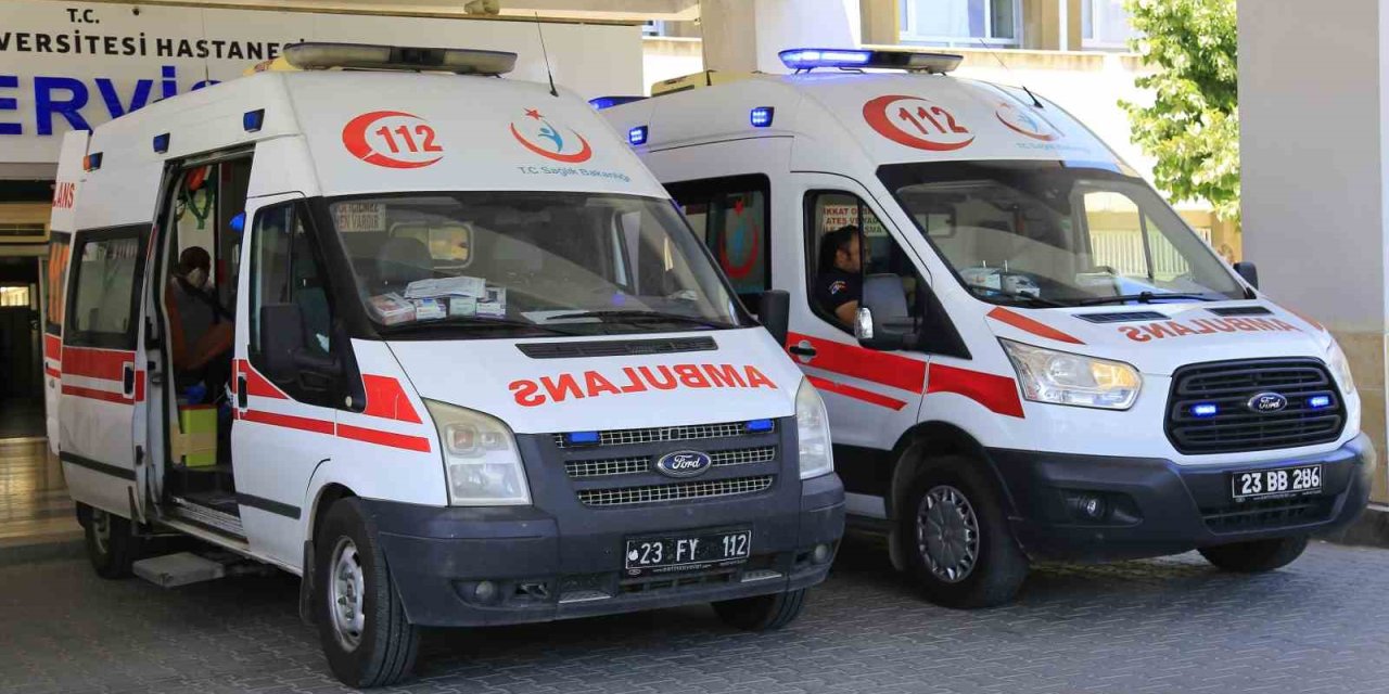 Üzüm almaya gitti, hayatını kaybetti