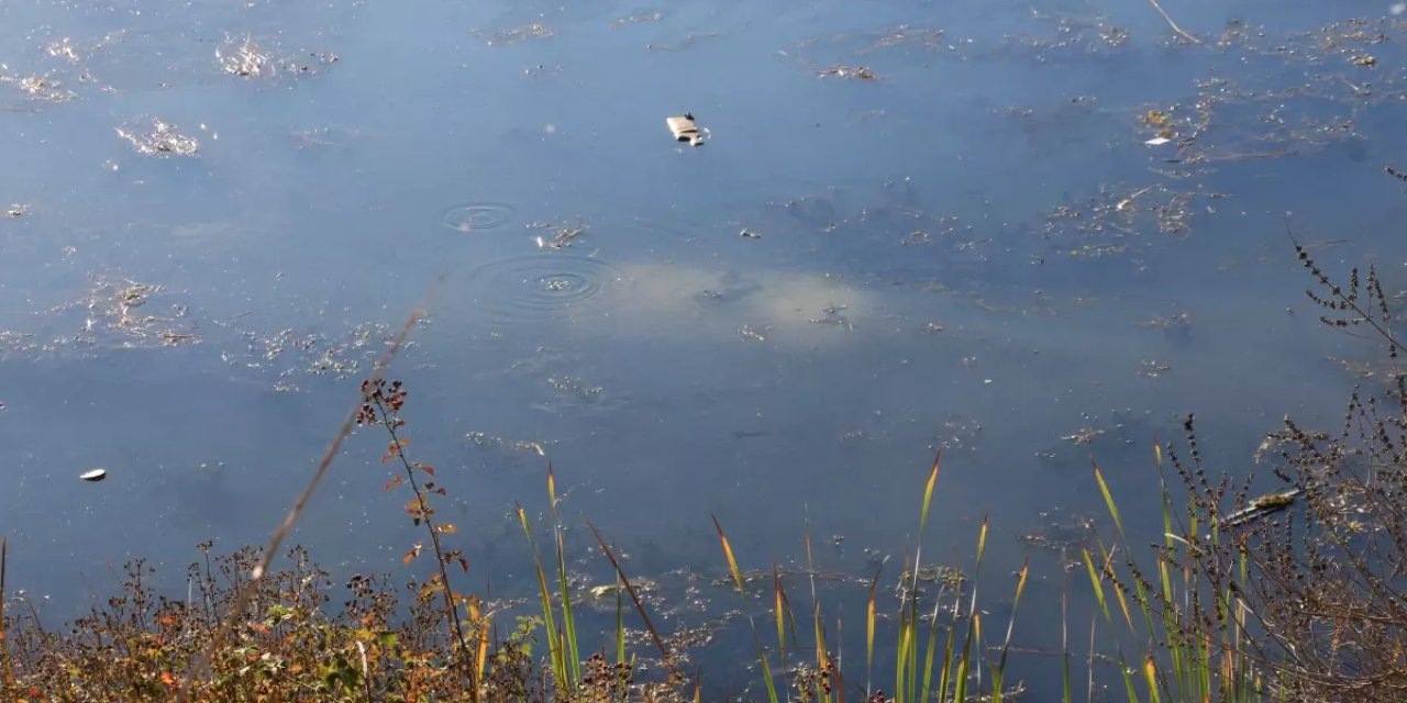 Ehliyetsiz sürücü kaza yaptı! Araç gölete düştü
