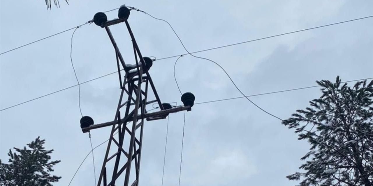 Hayvan otlatırken elektrik akımına kapılan şahıs hayatını kaybetti