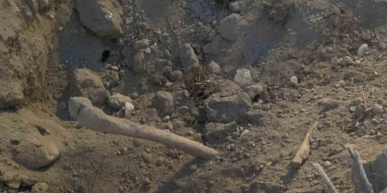 Belediye ekiplerinin kazı çalışması sırasında insan kemikleri bulundu