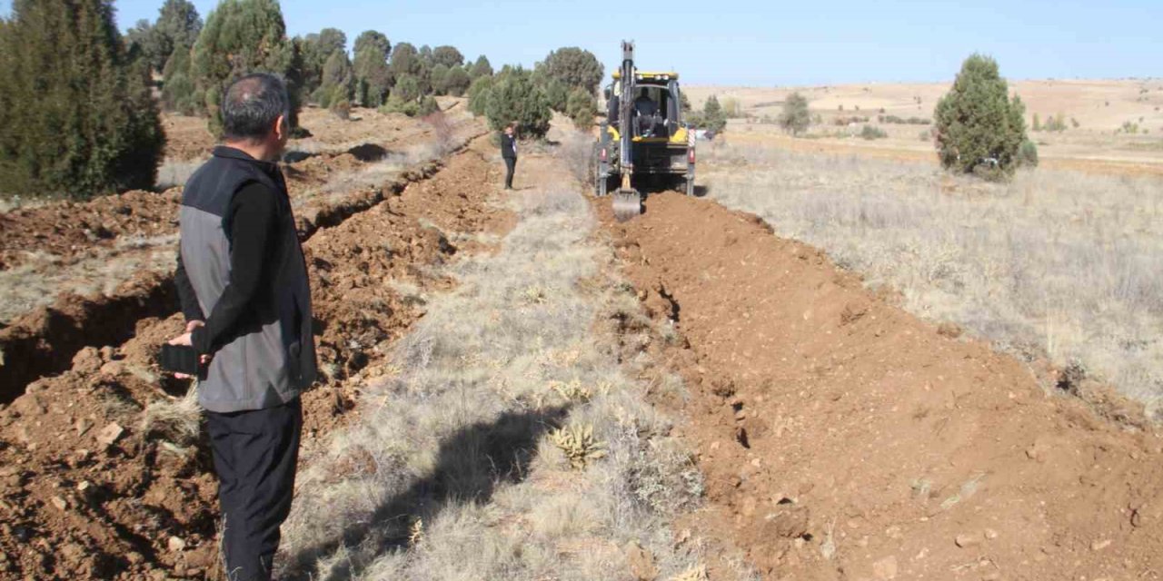 Beyşehir’de 11 bin orman fidanı daha toprakla buluşturulacak