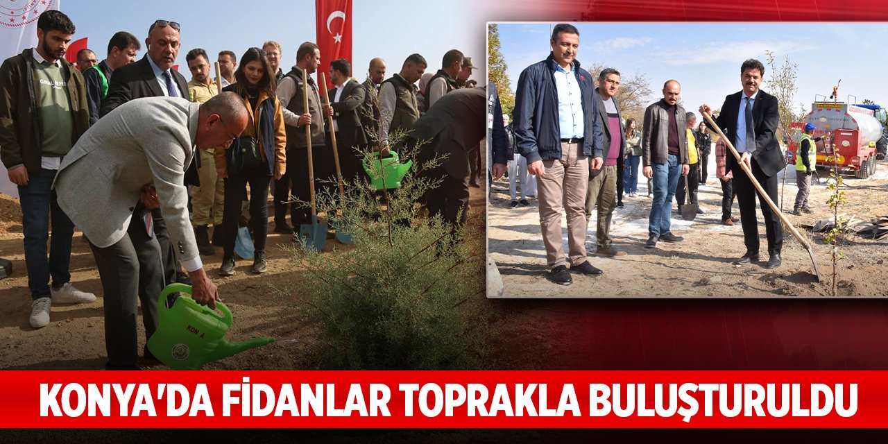 Konya'da fidanlar toprakla buluşturuldu