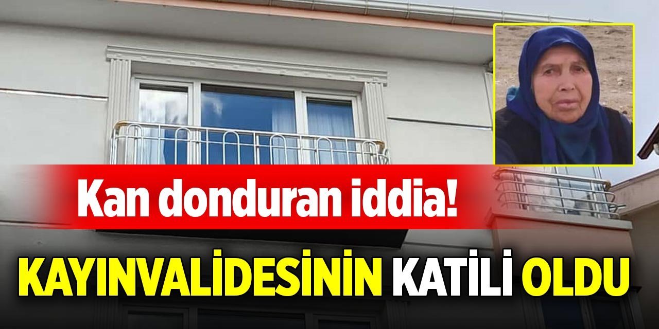 Kan donduran iddia! Kayınvalidesinin katili oldu
