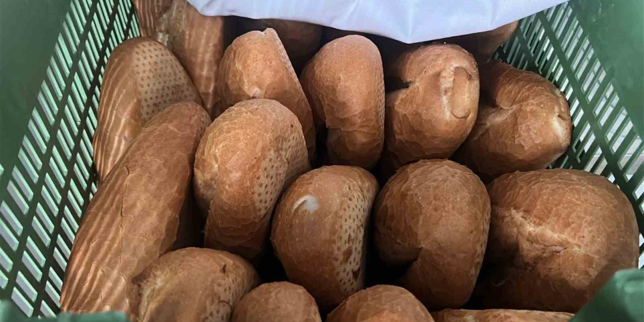 Fiyatın yarısından daha ucuza ekmek!