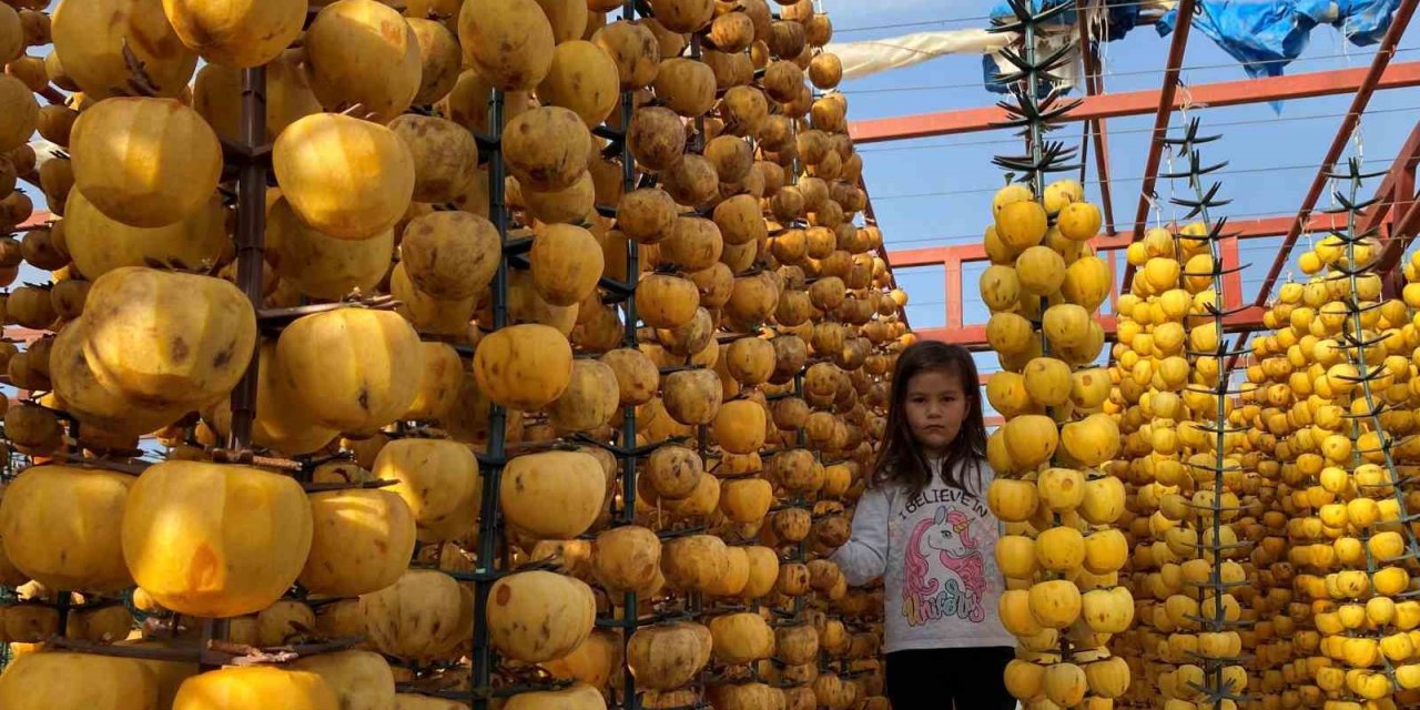 İlk kez ’Cennet Hurması Festivali’ düzenlenecek