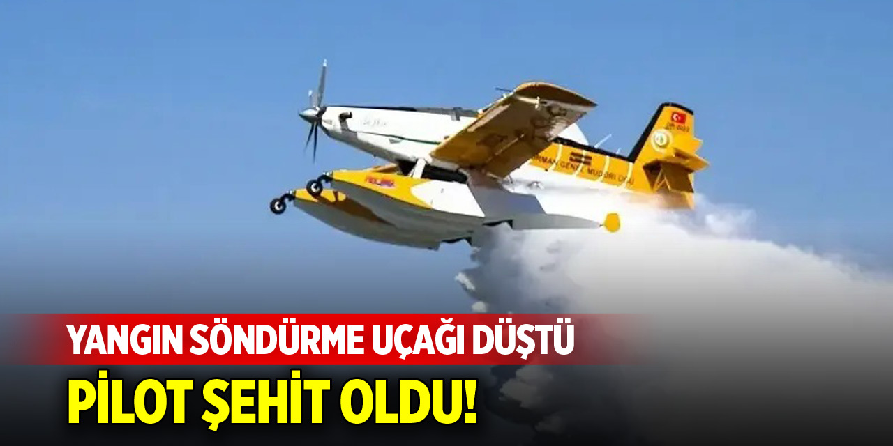 Bakım için Hırvatistan'a giden yangın söndürme uçağı düştü: Pilot şehit oldu