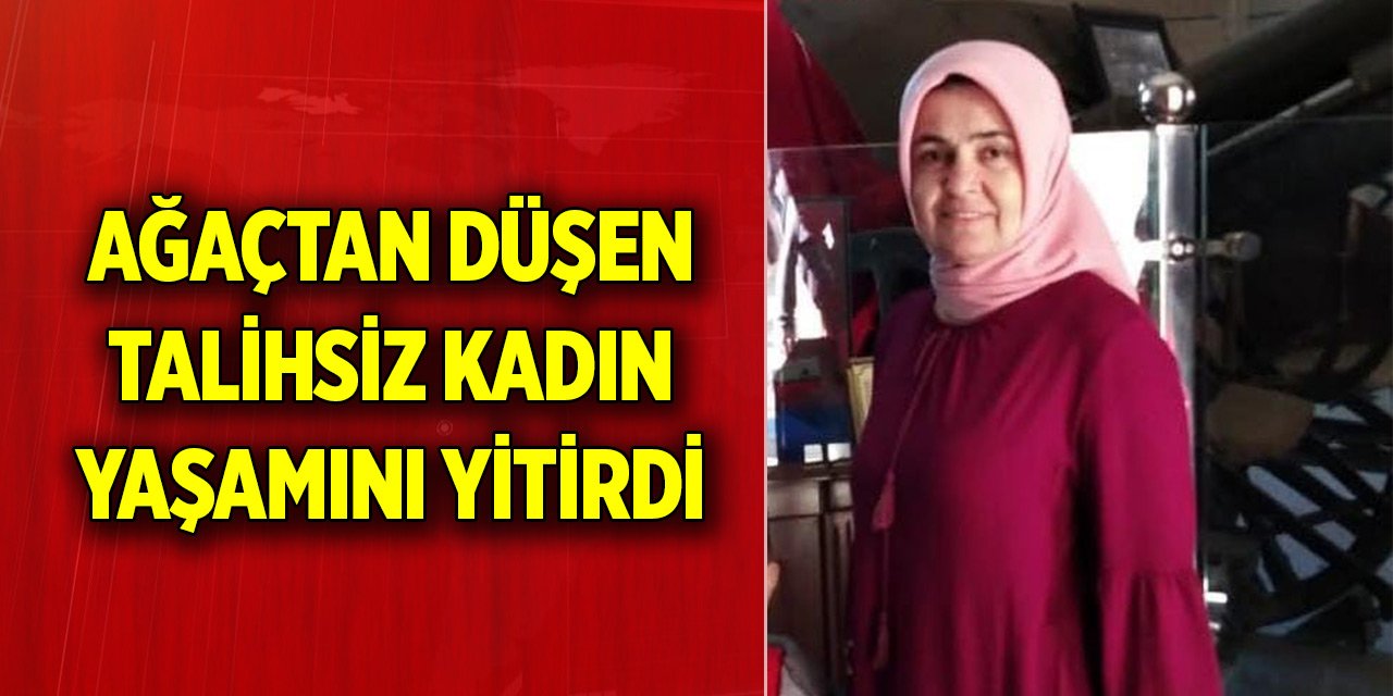 Ağaçtan düşen talihsiz kadın yaşamını yitirdi