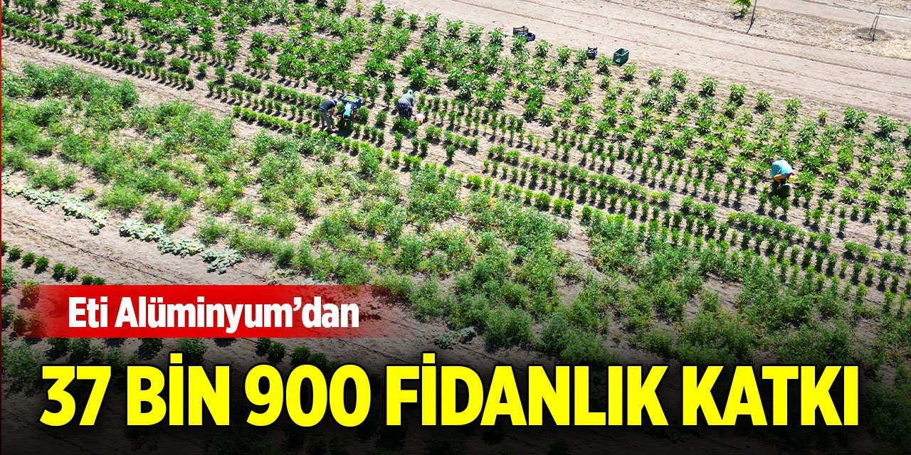 Eti Alüminyum’dan 37 bin 900 fidanlık katkı