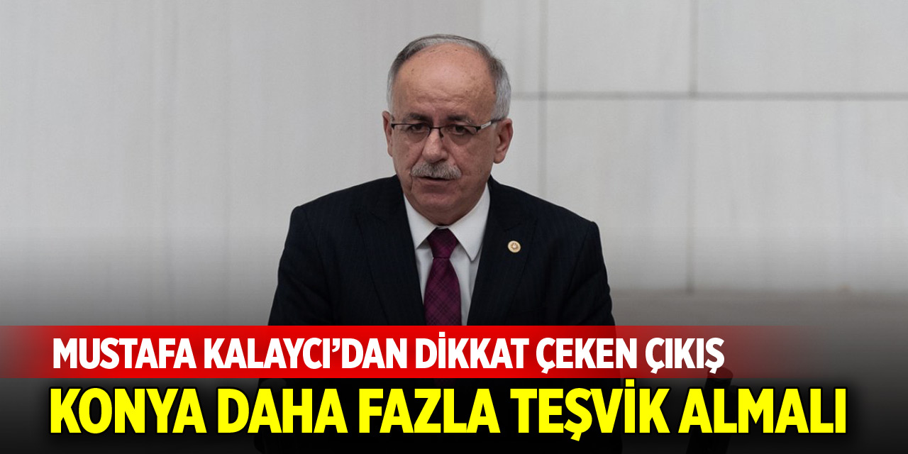 Kalaycı: Konya, turizmde daha fazla teşvik almalı