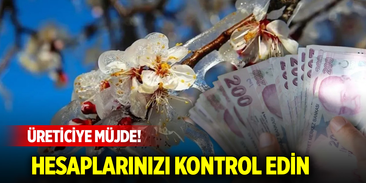 Üreticiye müjde! Hesaplarınızı kontrol edin