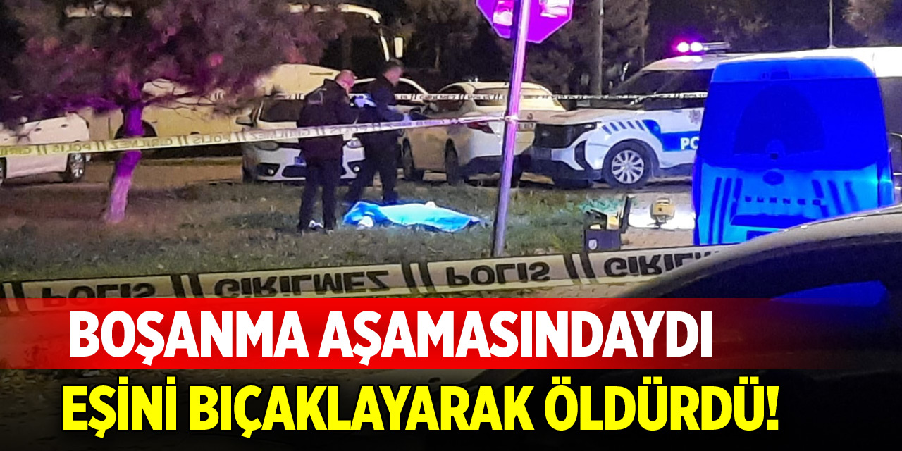 Boşanma aşamasında olduğu karısını bıçaklayarak öldürdü