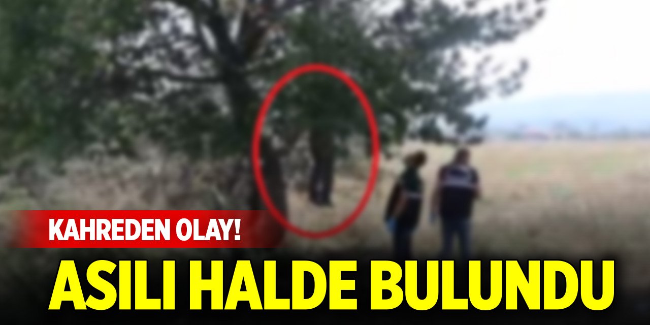 Kahreden olay! Ağaca asılı halde bulundu