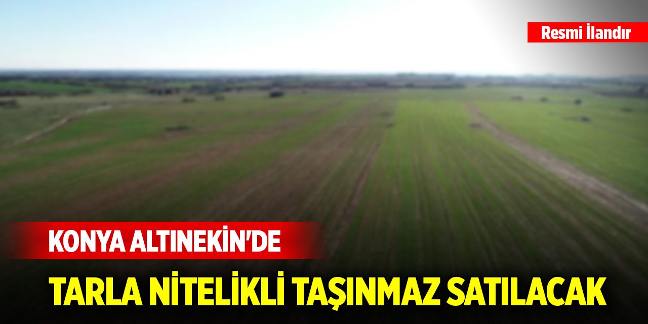 Konya Altınekin'de tarla nitelikli taşınmaz satılacak