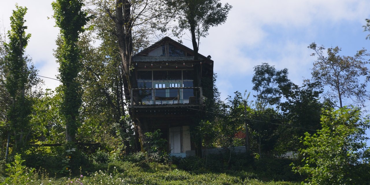Atık malzemeden manzaralı ağaç ev yaptılar