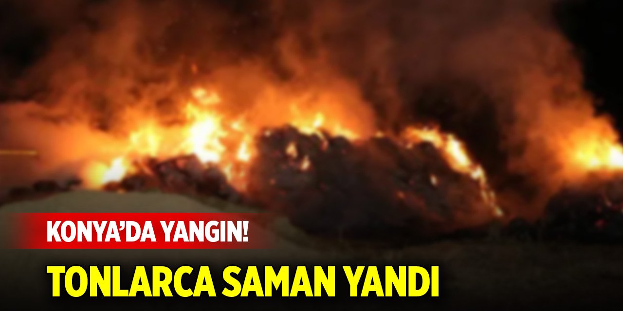 Konya'da çıkan yangında tonlarca saman yandı