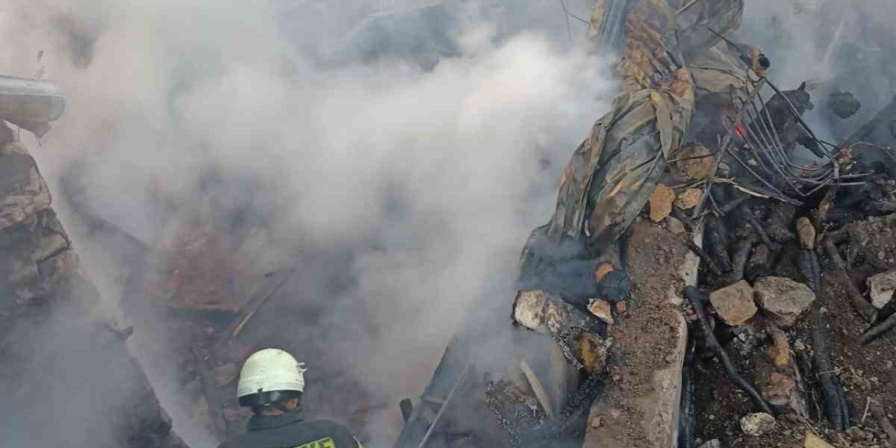 Ahırda başlayan yangın iki eve sıçradı