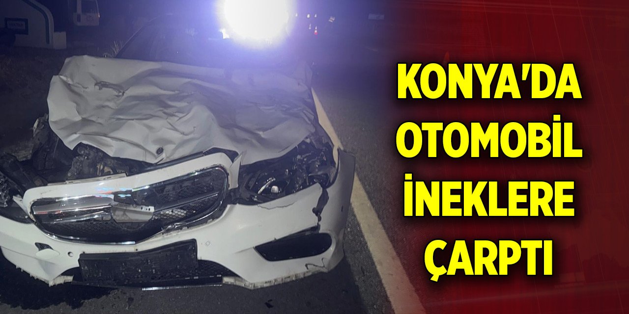 Konya'da otomobil ineklere çarptı