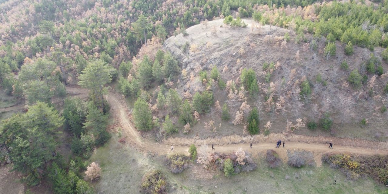 Çankırı'da mantar toplamak için evden ayrılan kadın, ormanda ölü bulundu
