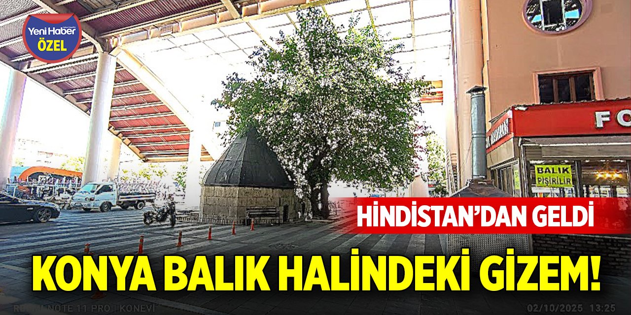 Konya balık halindeki gizem! Hindistan’dan geldi