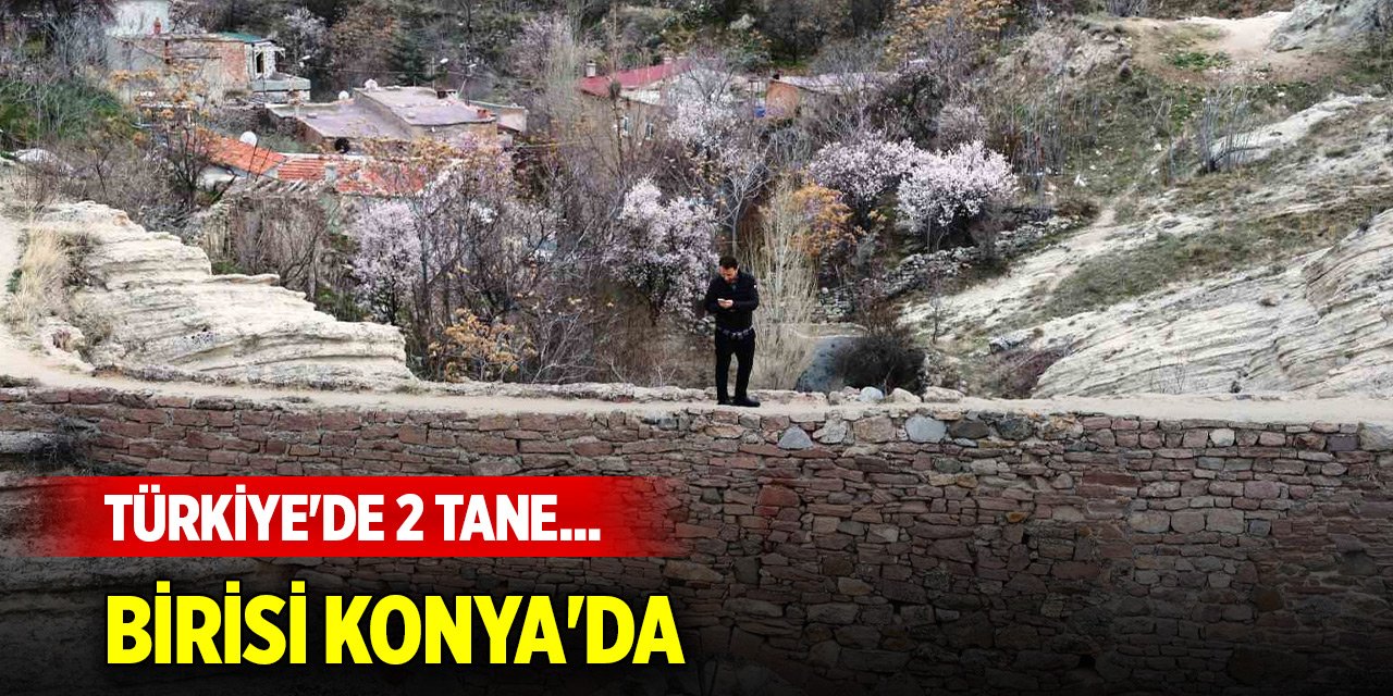 Türkiye'de 2 tane... Birisi Konya'da