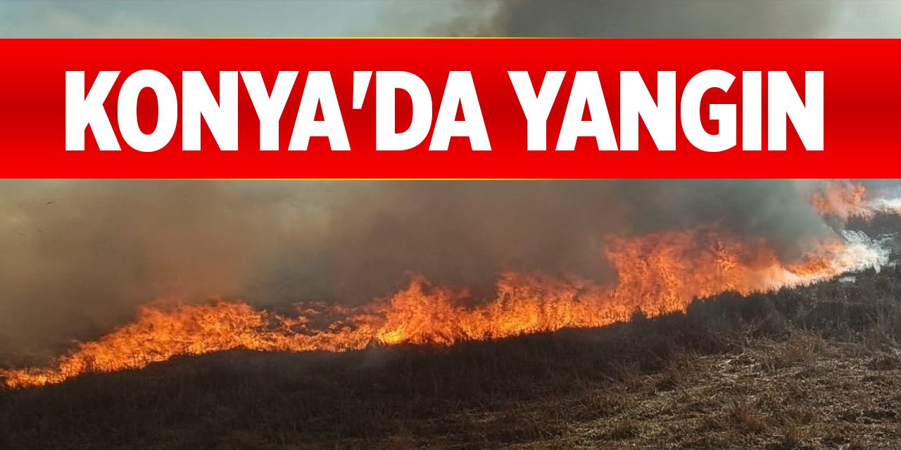 Konya'da sazlıklar alev alev yandı